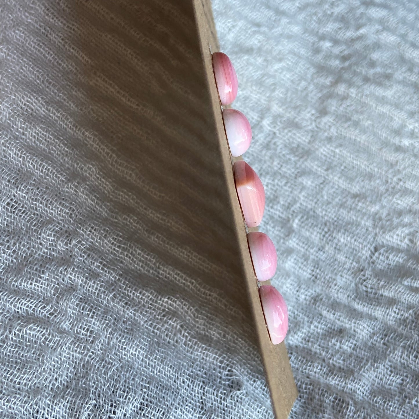 Pink Conch Cabochon - PC58