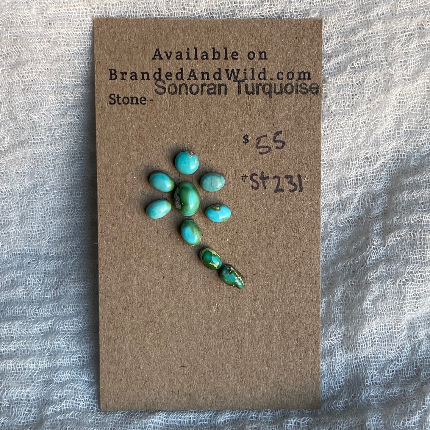 Sonoran Turquoise Cabochon - ST231