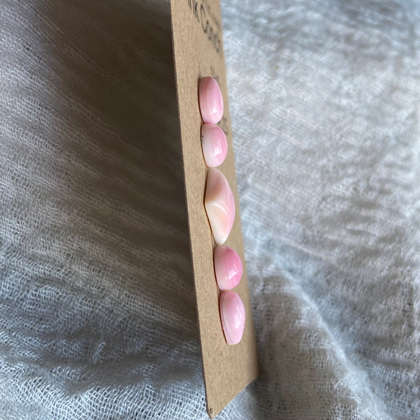 Pink Conch Cabochon - PC25