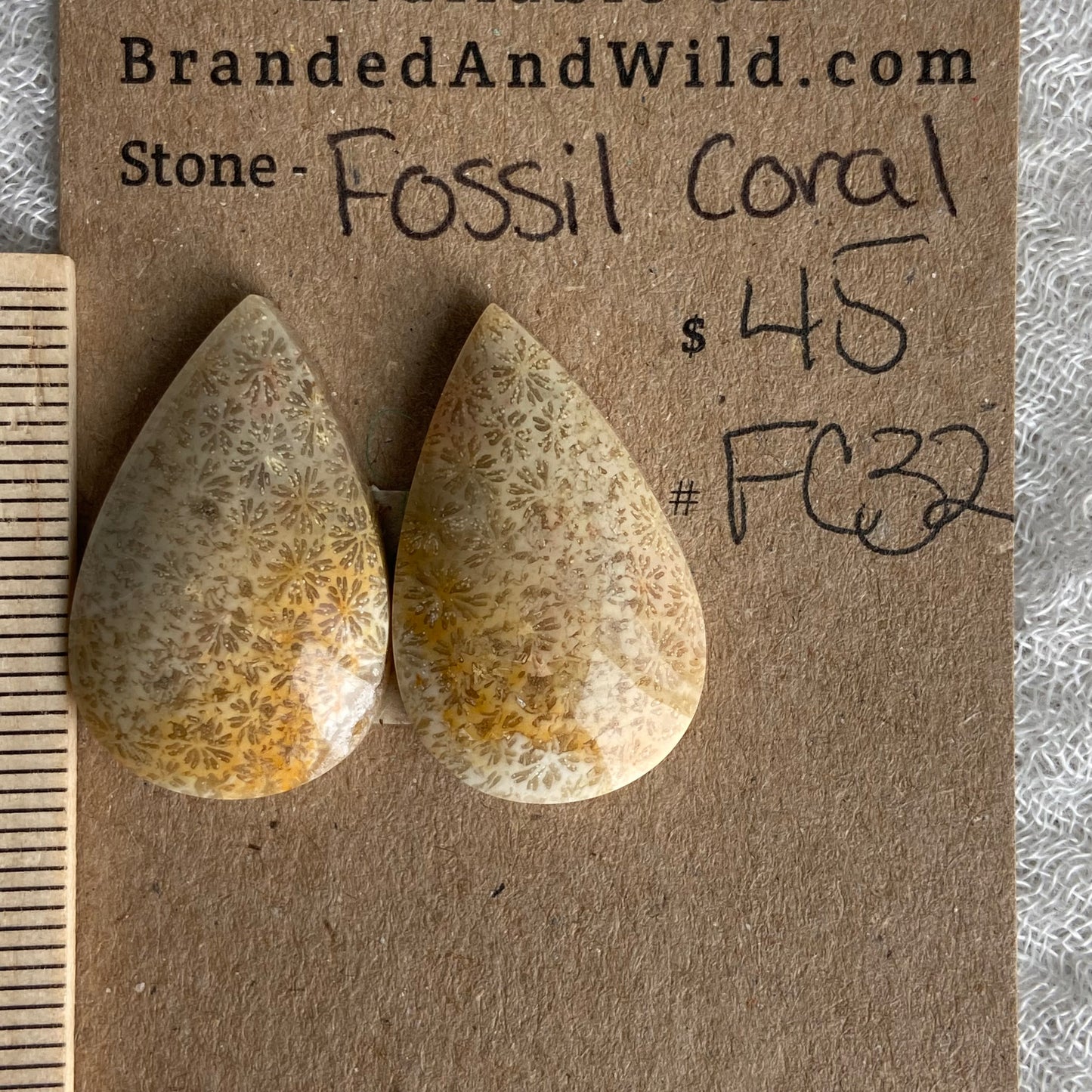 Fossil Coral Cabochon - FC32