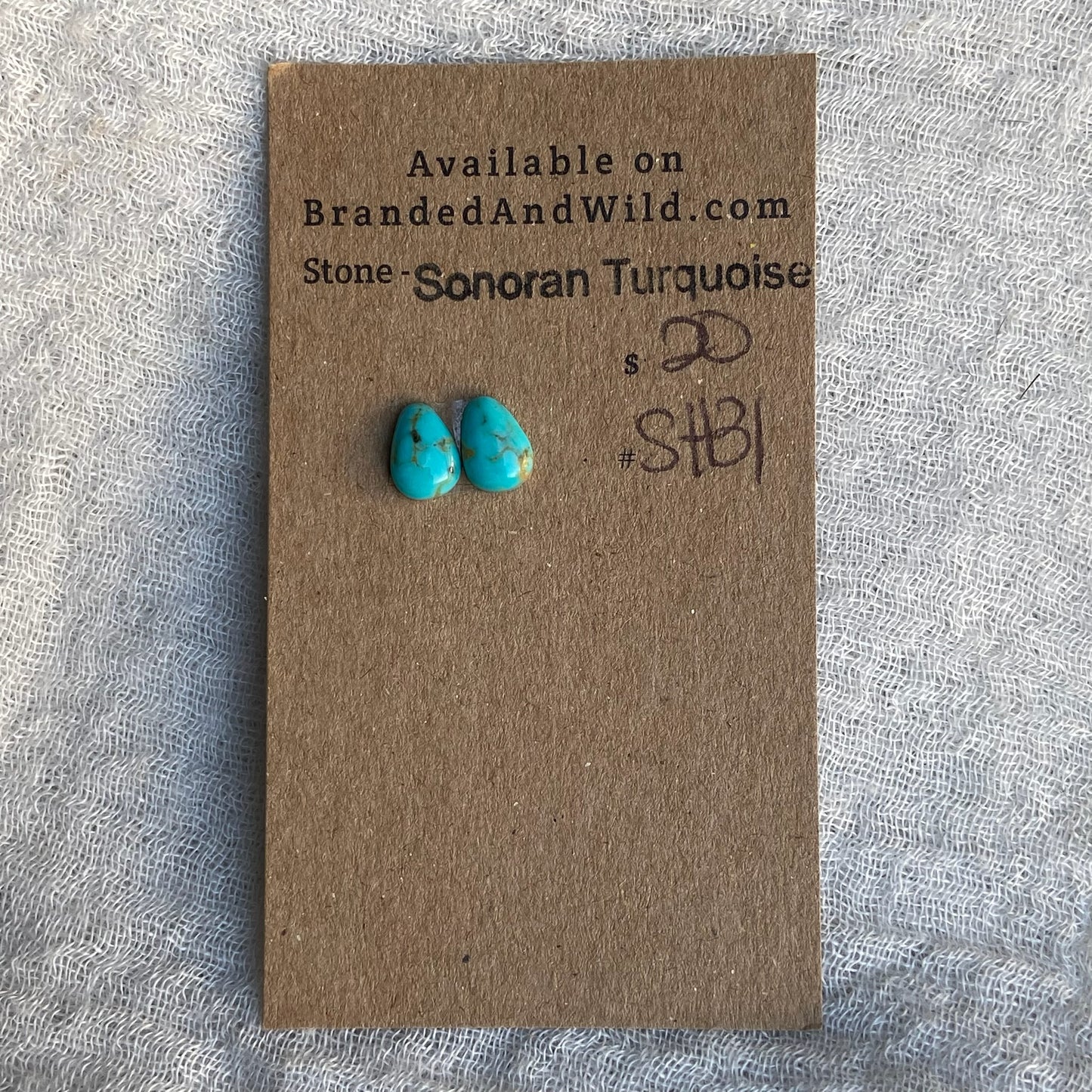 Sonoran Turquoise Cabochon - ST131