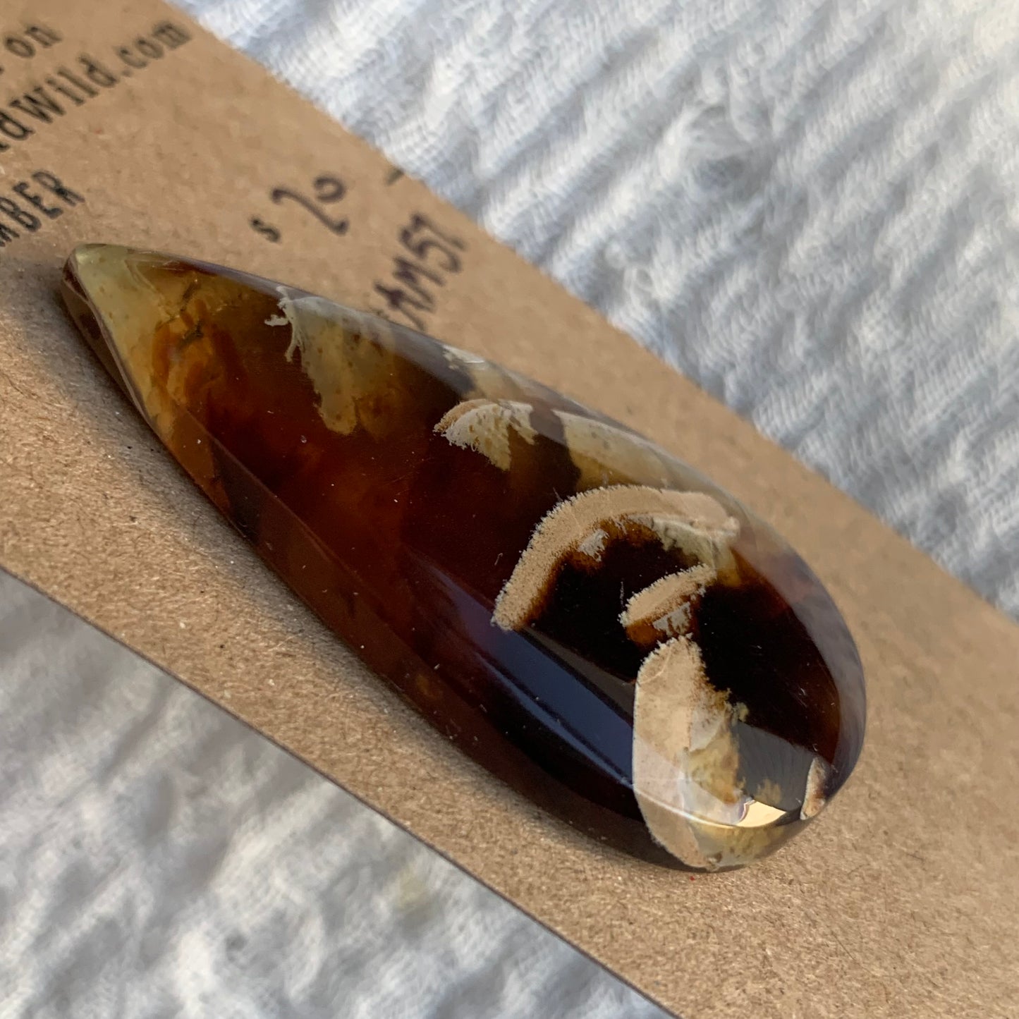 Amber Cabochon AM57