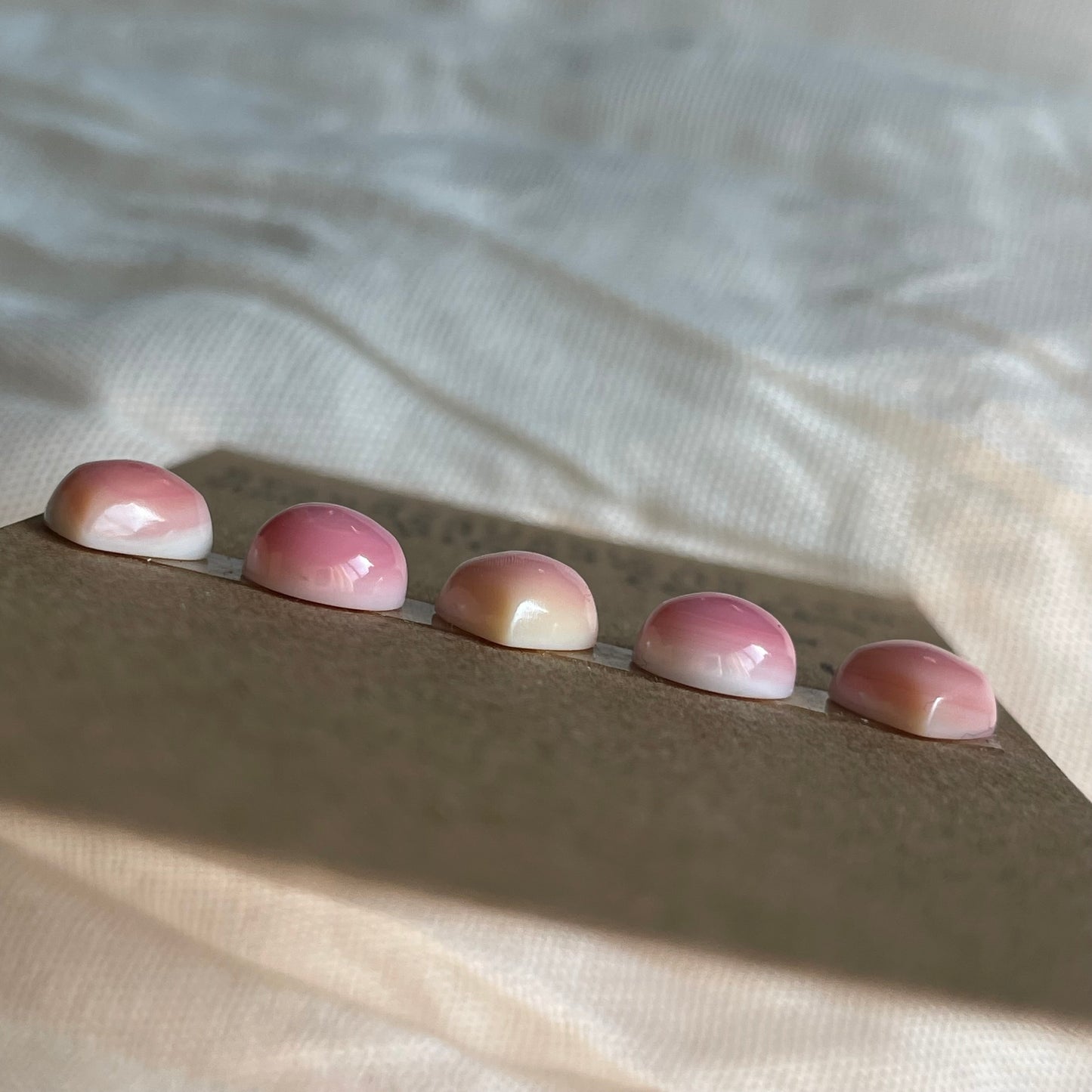 Pink Conch Cabochon - PC66 05D2742C-F458-44AD-8295-E63589B5ECAF Brandedandwild.com