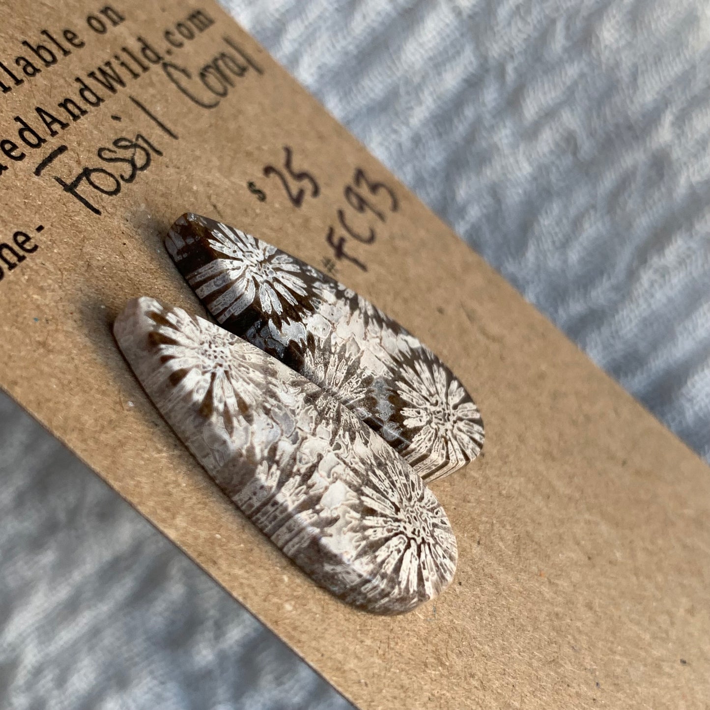 Fossil Coral Cabochon - FC93