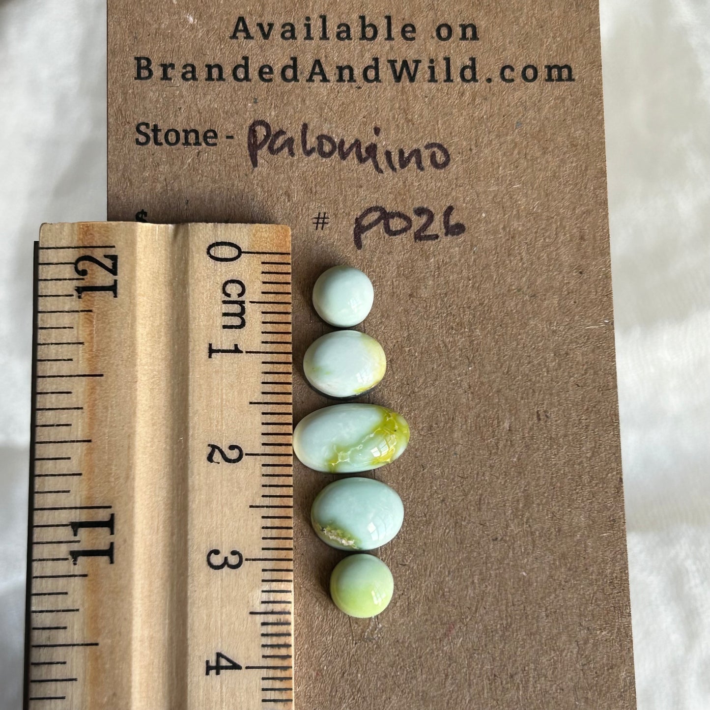 Palomino Cabochon - P026