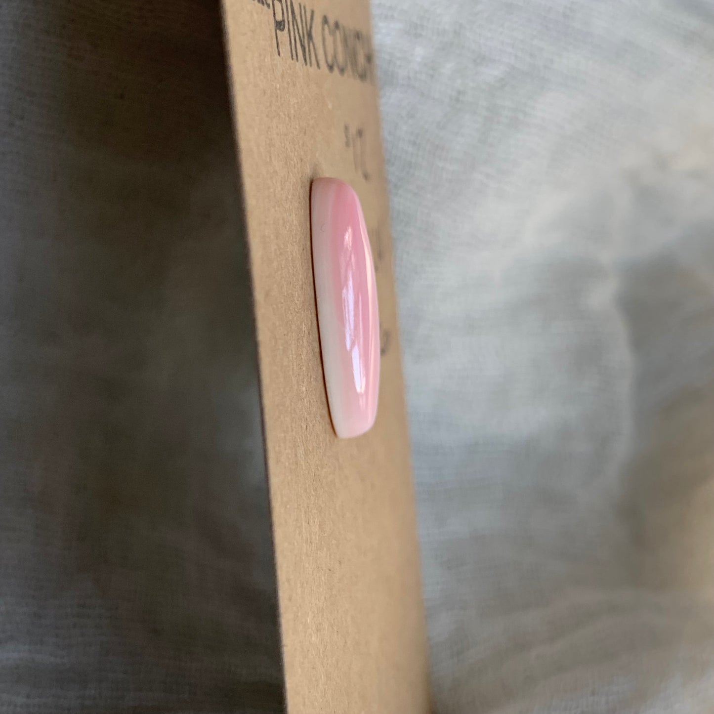 Pink Conch Cabochon - PC14