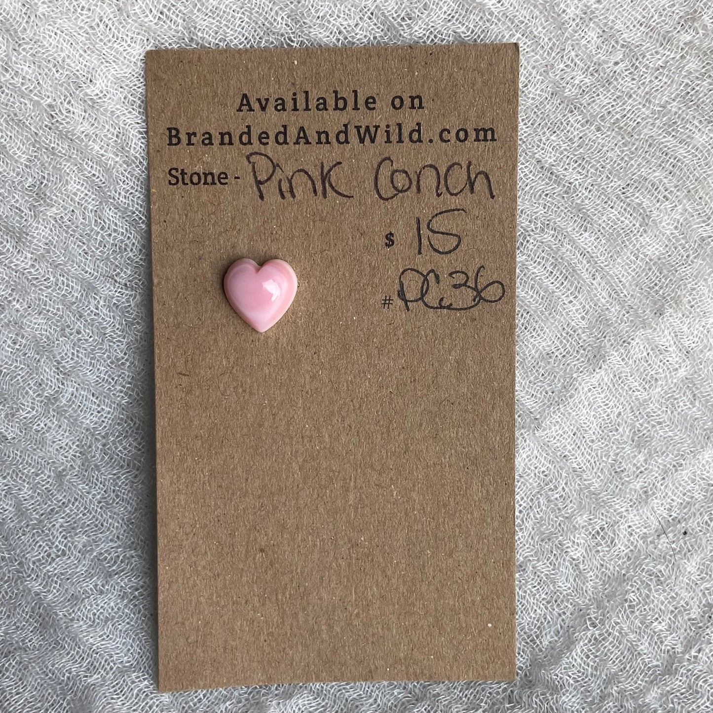 Pink Conch Cabochon - PC36