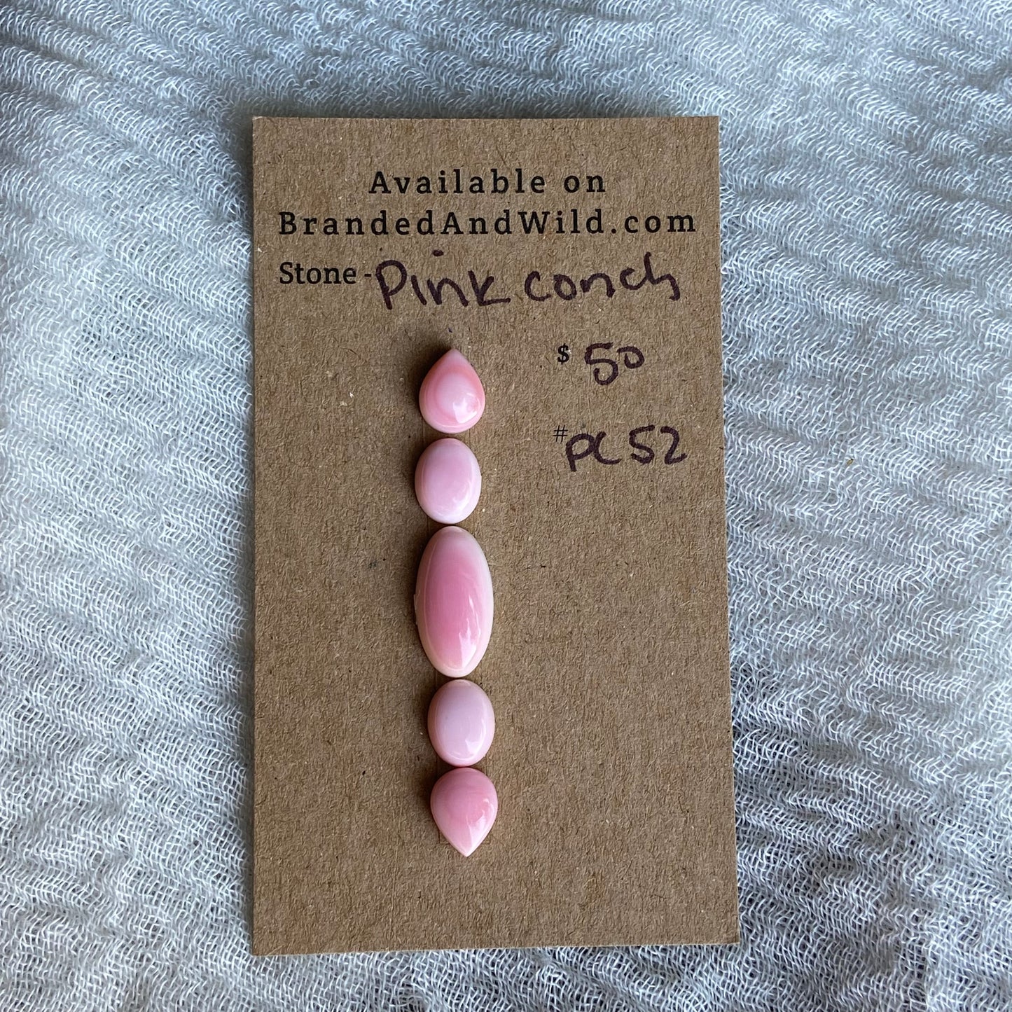 Pink Conch Cabochon - PC52
