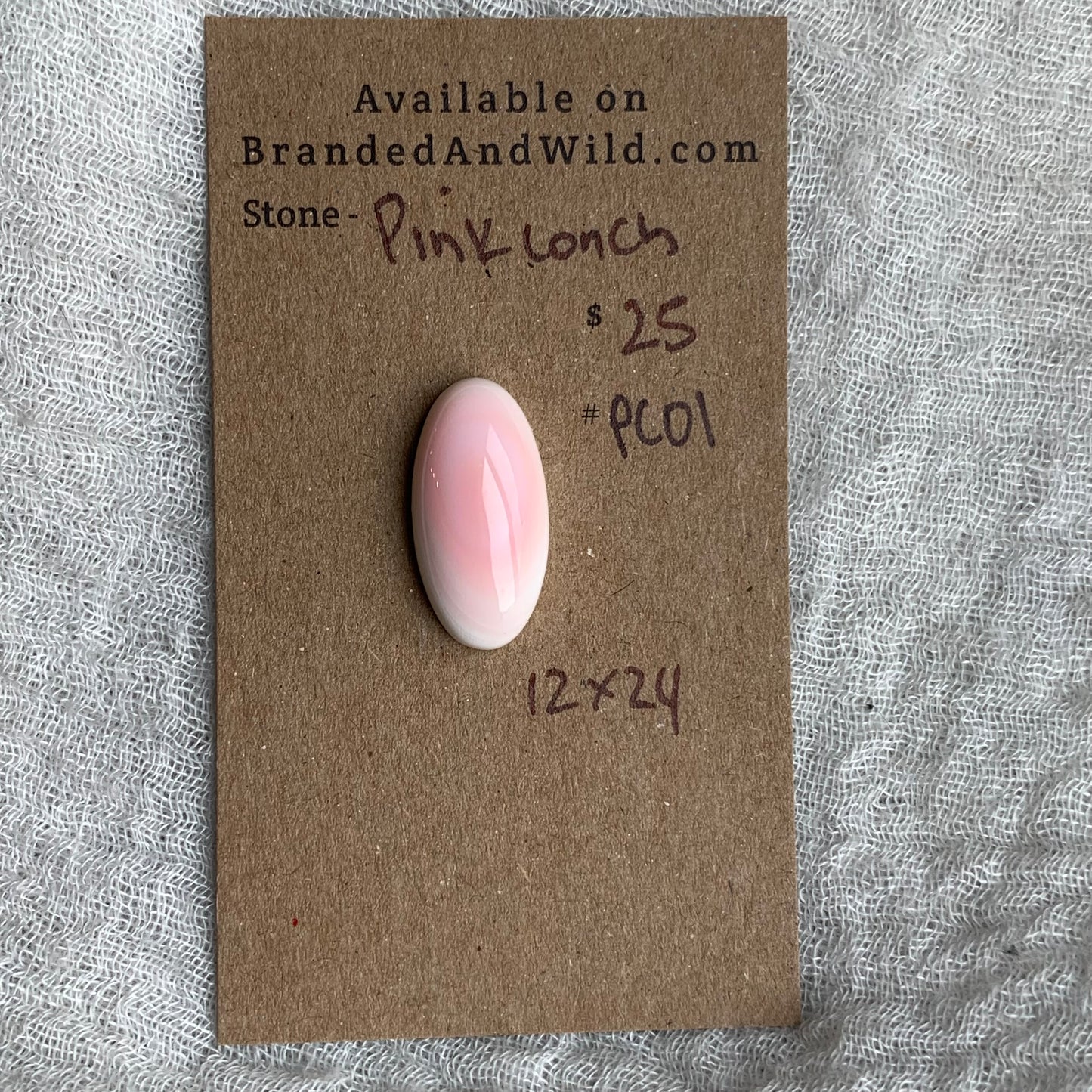 Pink Conch Cabochon - PC01