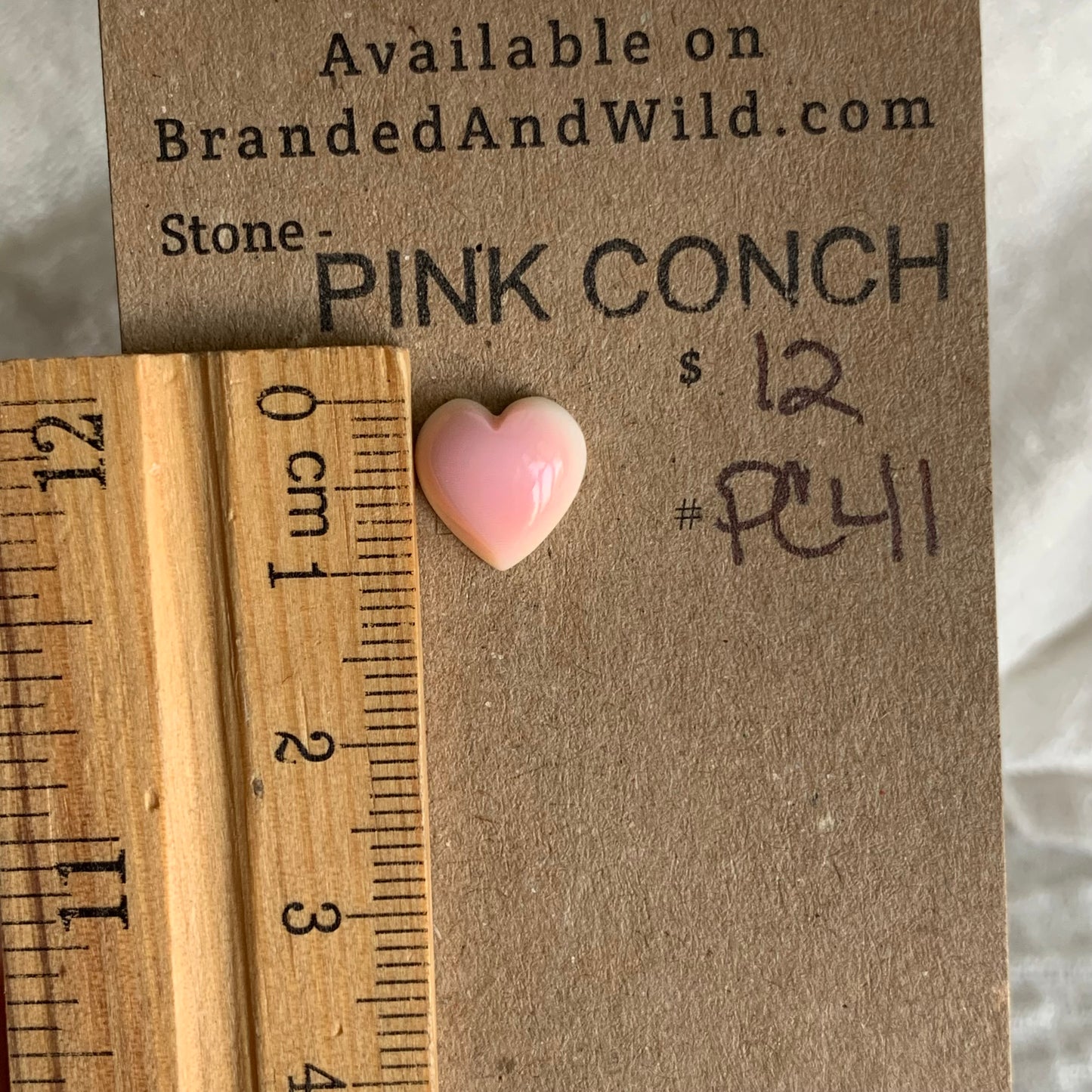 Pink Conch Cabochon - PC41