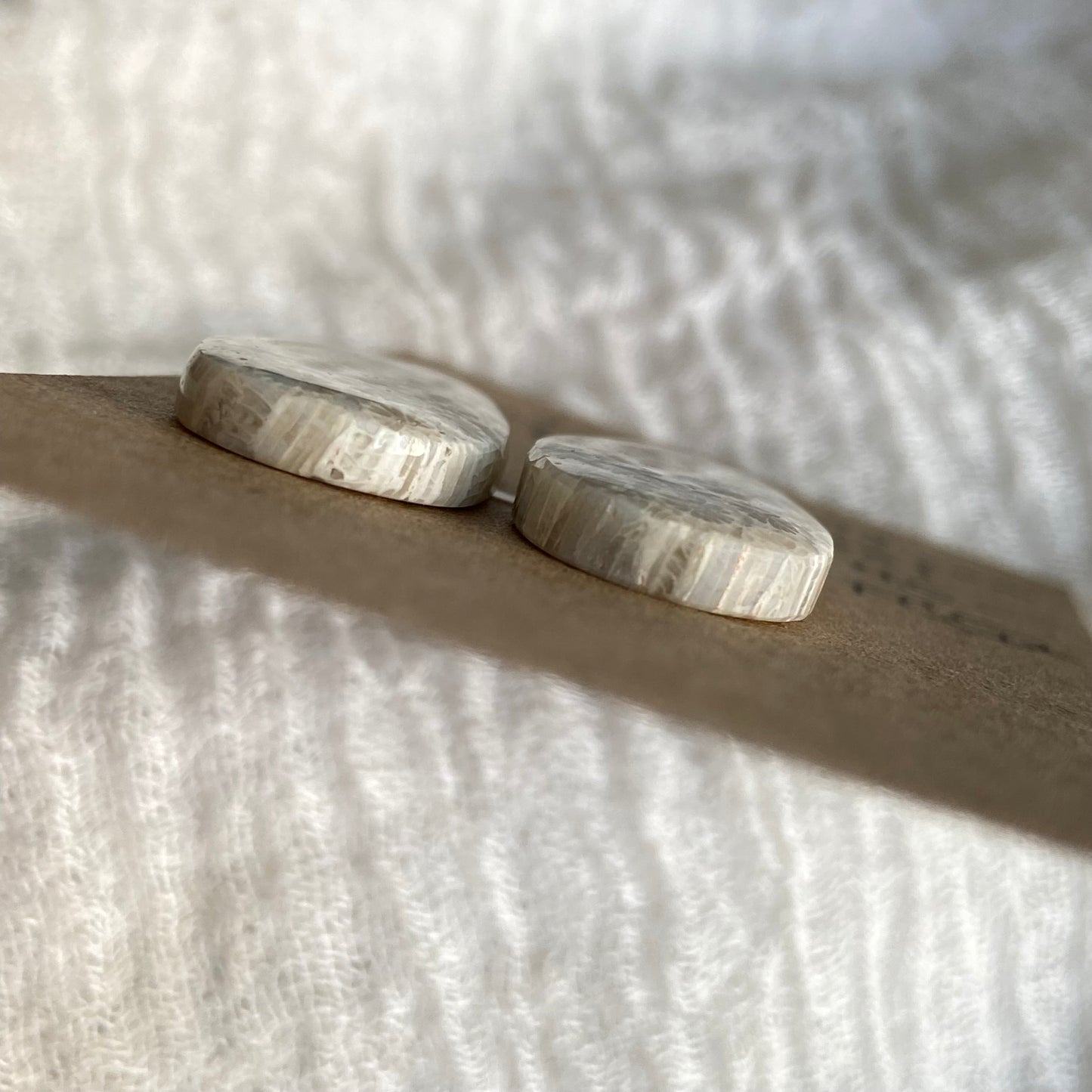 Fossil Coral Cabochon - FC52