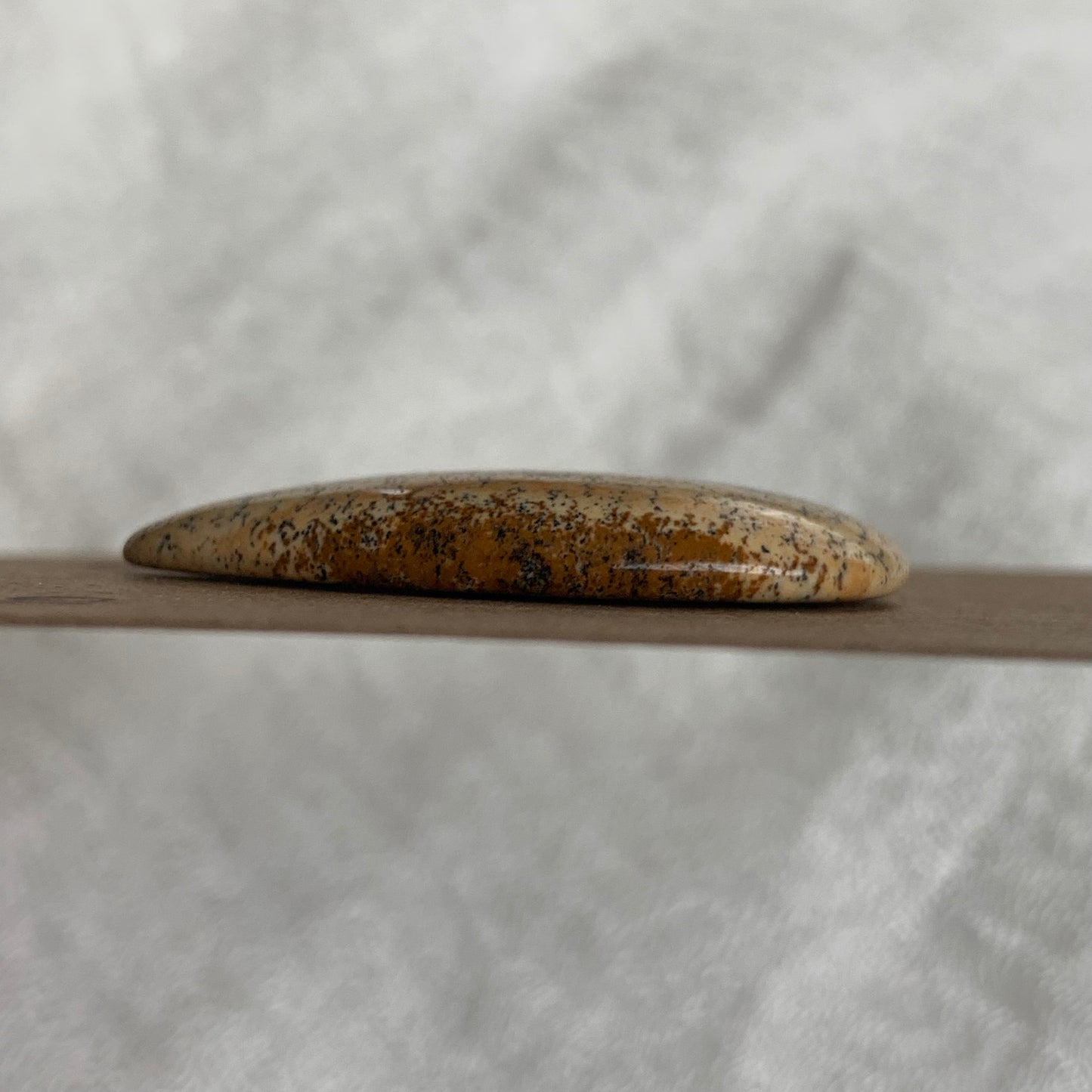 Picture Jasper Cabochon - PJ01