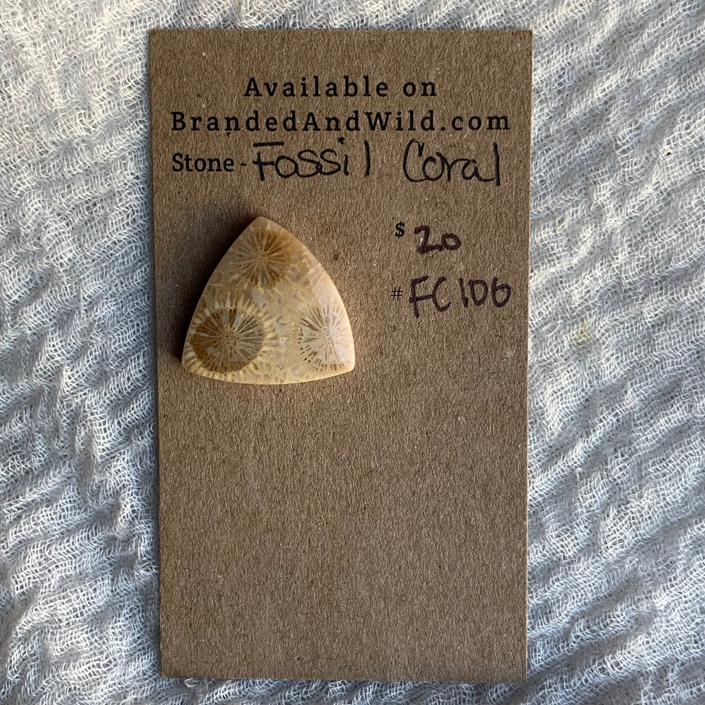 Fossil Coral Cabochon - FC100
