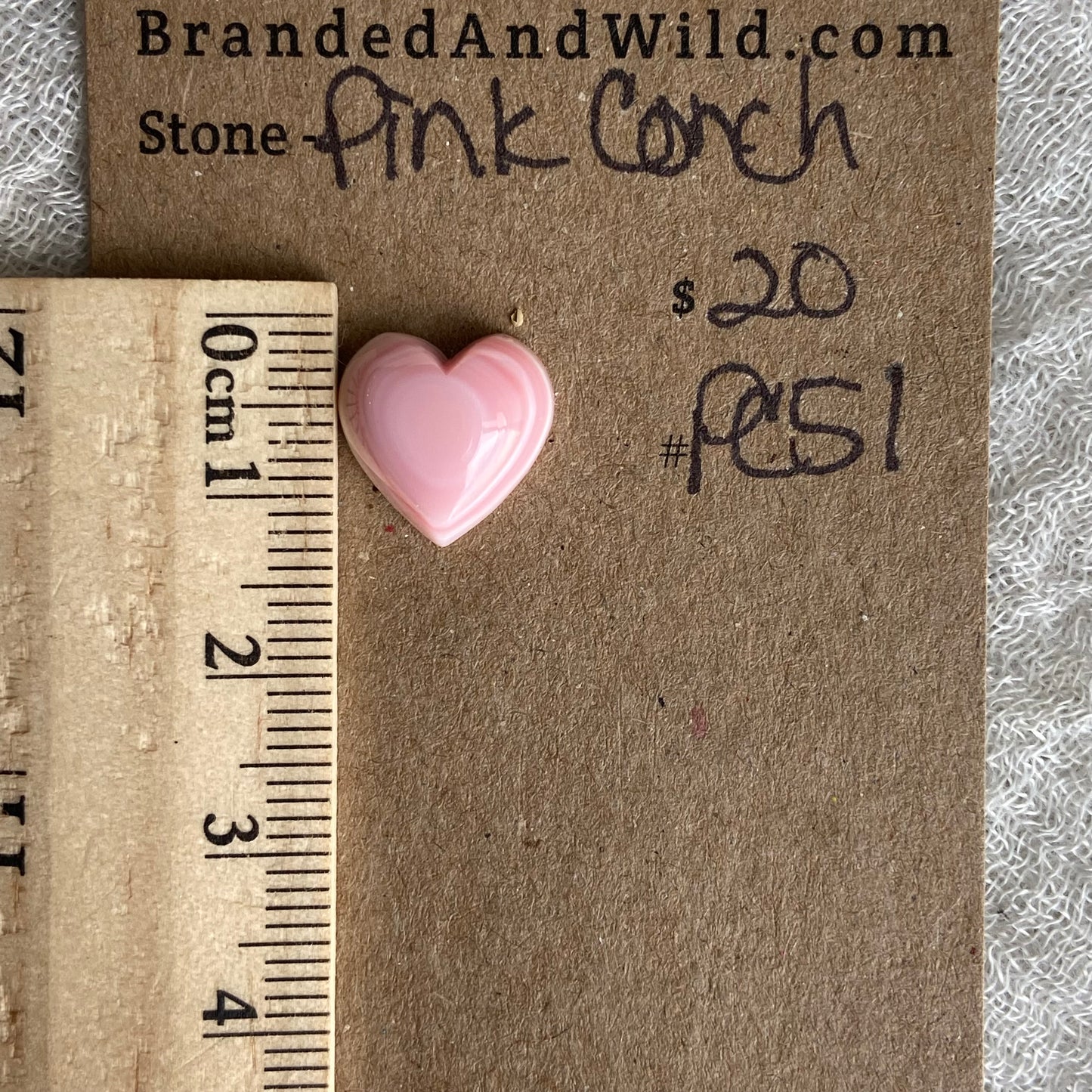 Pink Conch Cabochon - PC51