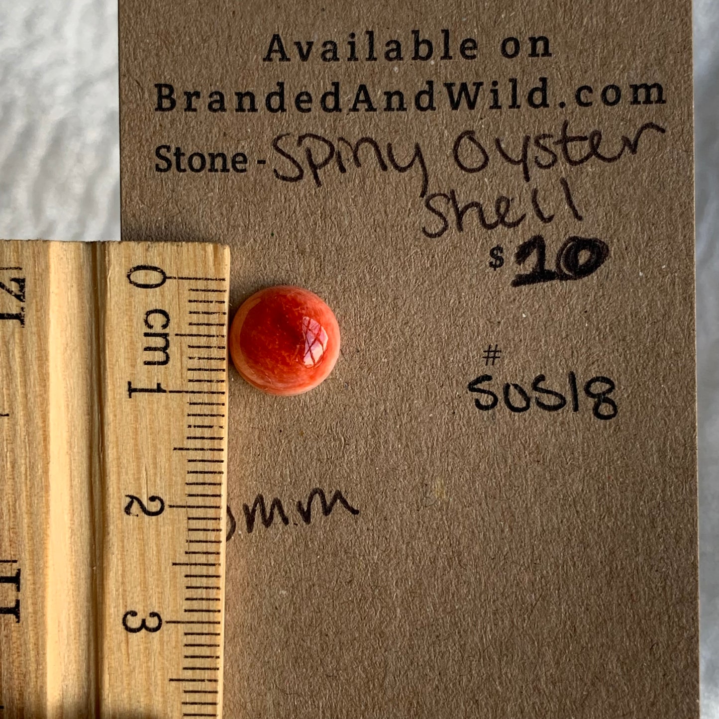 Spiny Oyster Shell Cabochon - SOS18