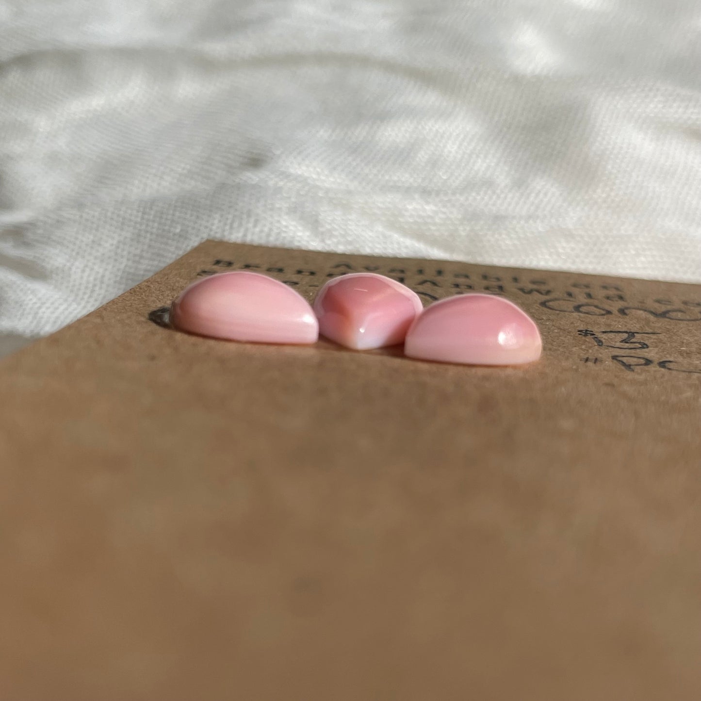 Pink Conch Cabochon - PC80 1607DA8B-BFE2-47DF-91E5-253DD7B5477F Brandedandwild.com