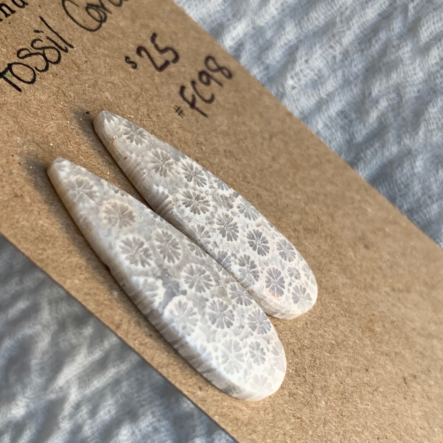 Fossil Coral Cabochon - FC98