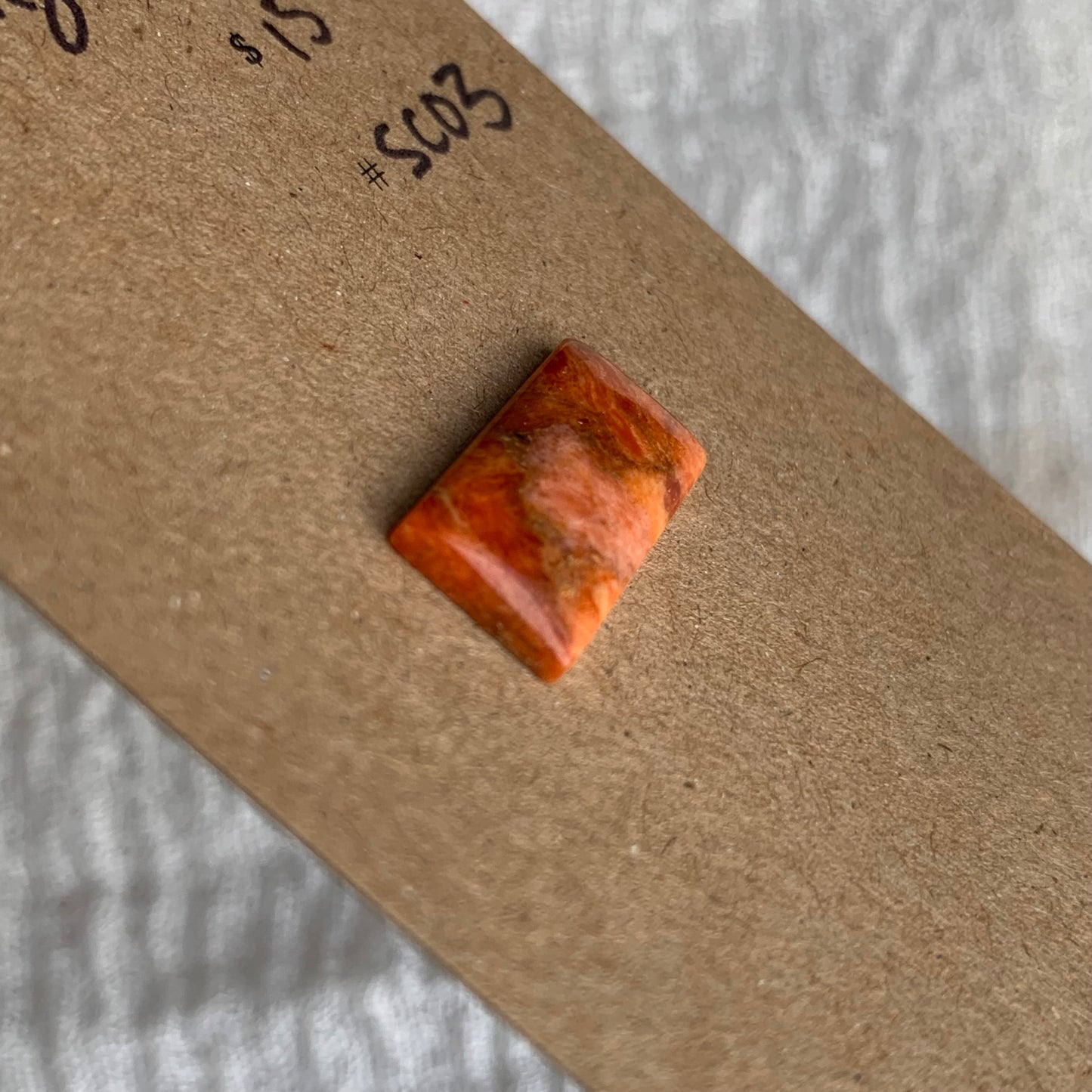 Sponge Coral Cabochon - SC03