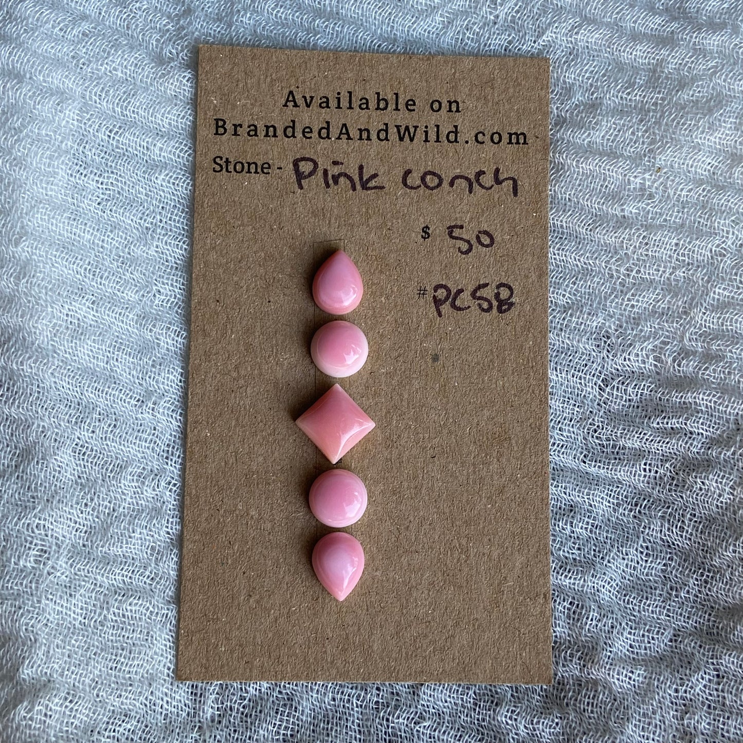 Pink Conch Cabochon - PC58