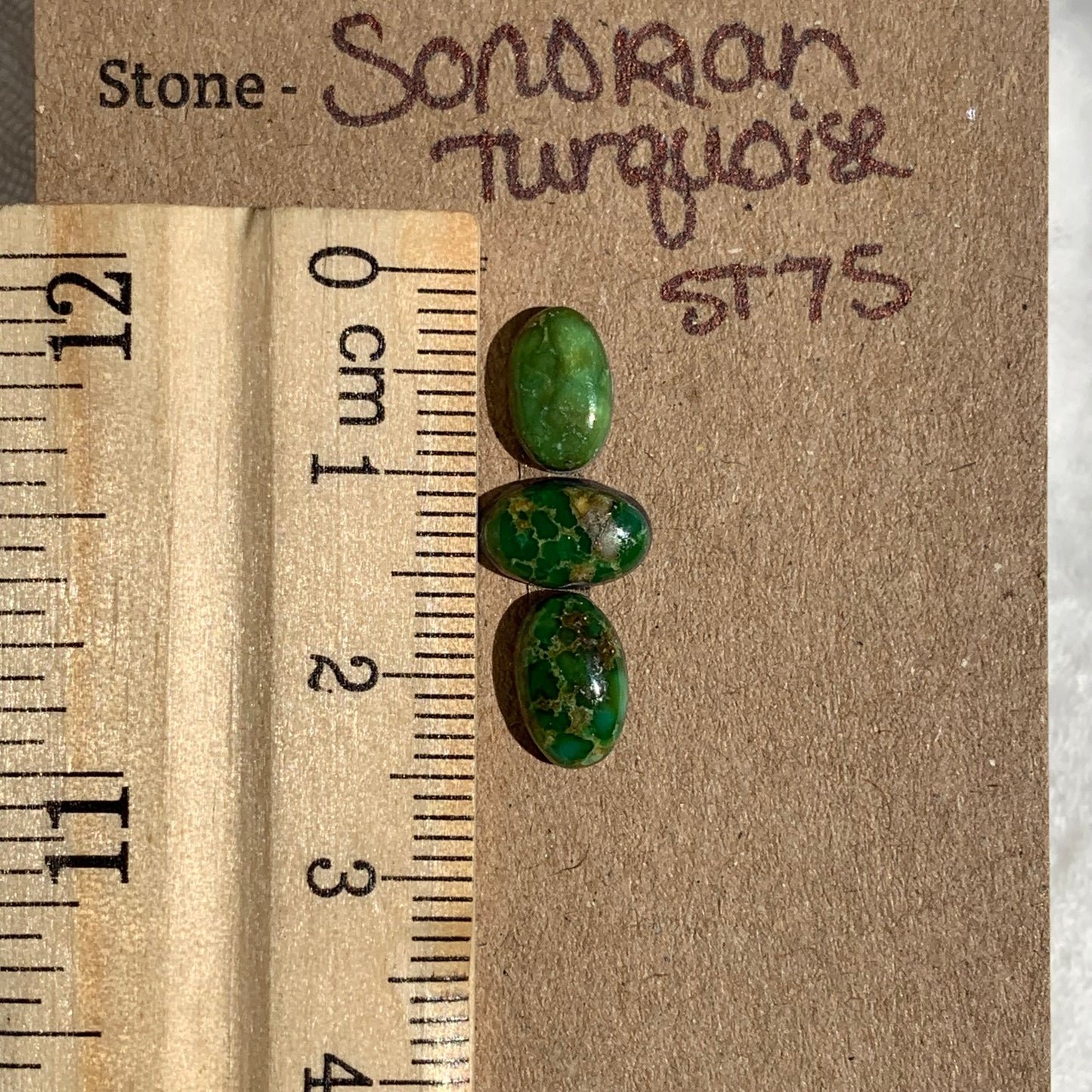 Sonoran Turquoise Cabochon - ST75