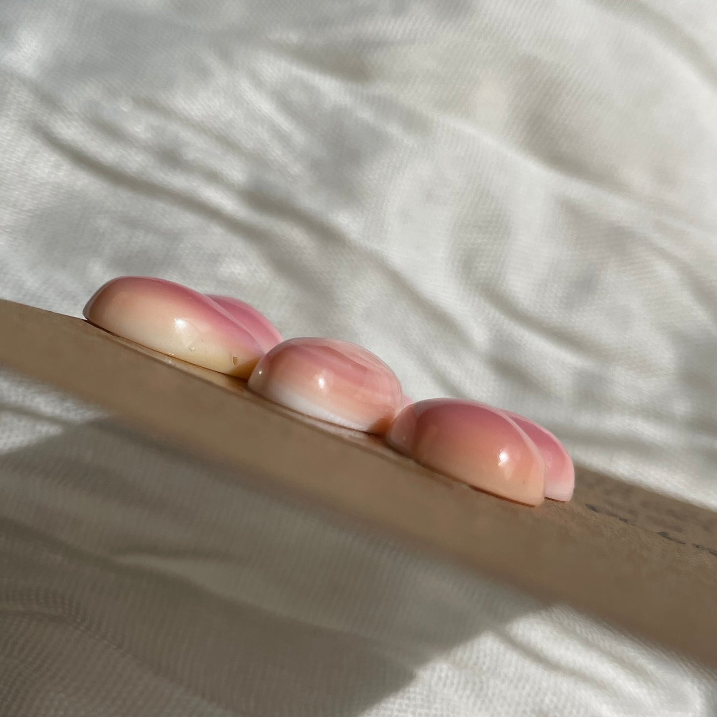 Pink Conch Cabochon - PC68 18D36F57-5CC0-432D-B57F-656C75F9941E Brandedandwild.com