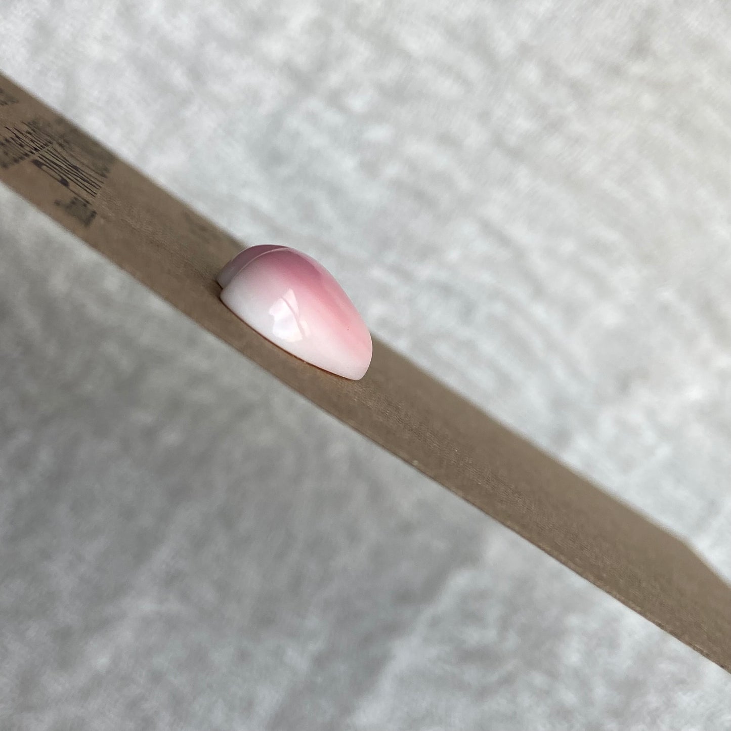 Pink Conch Cabochon - PC55