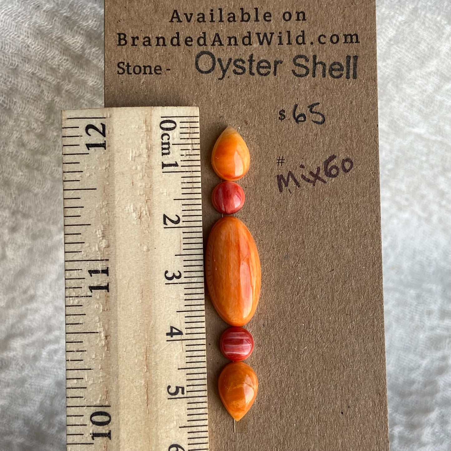 Oystershell Cabochon - MIX60