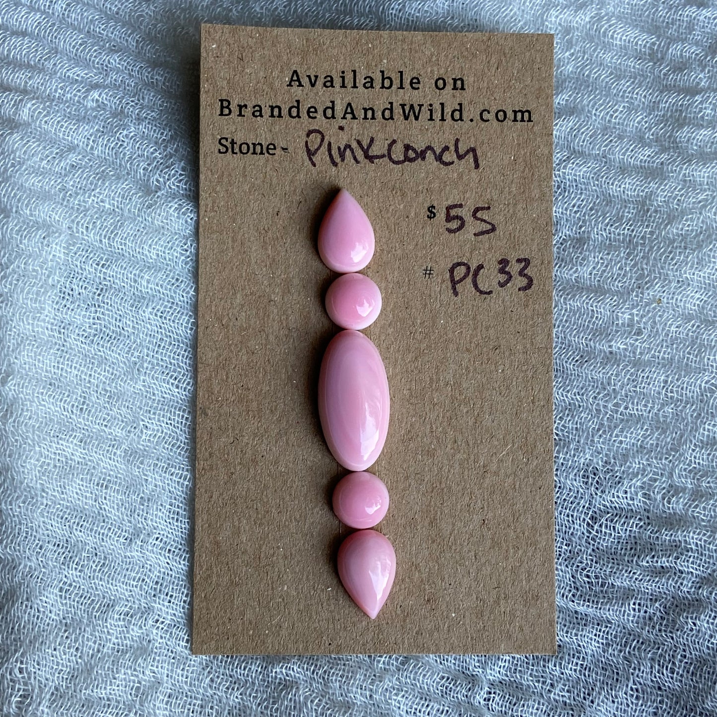 Pink Conch Cabochon - PC33