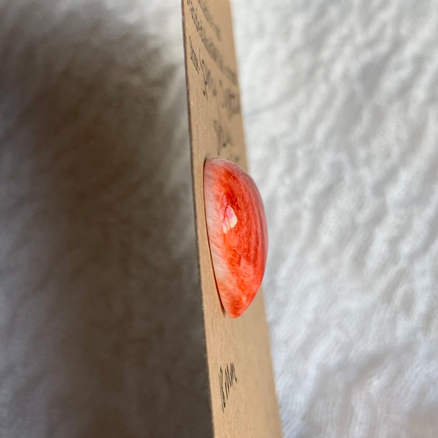 Spiny Oyster Shell Cabochon - SOS19