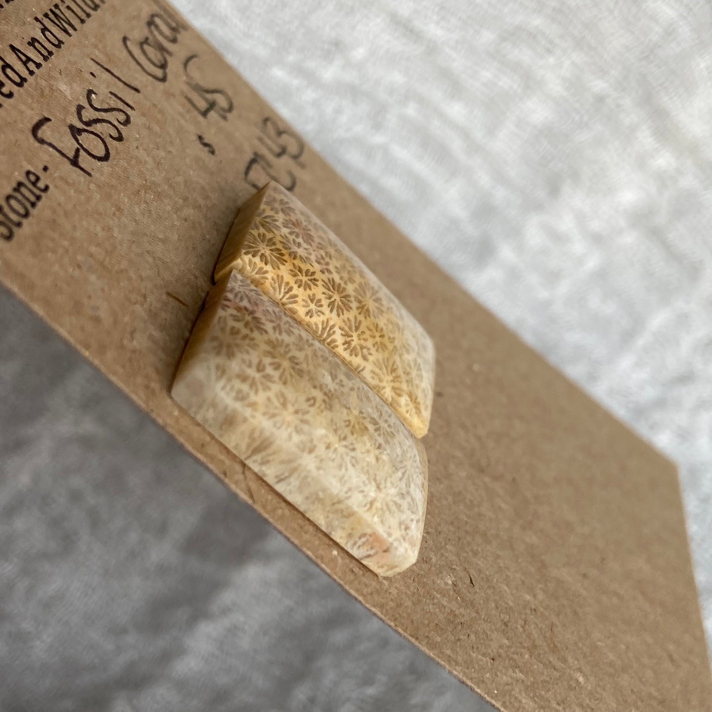 Fossil Coral Cabochon - FC43
