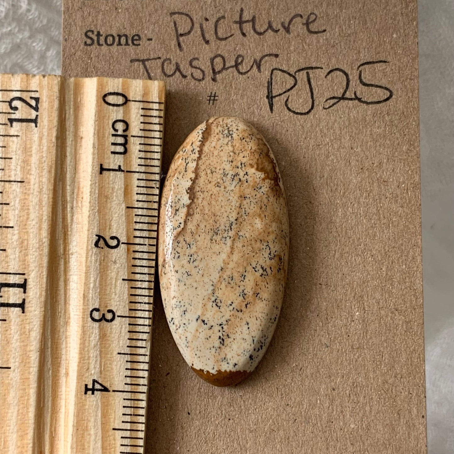 Picture Jasper cabochon - PJ25