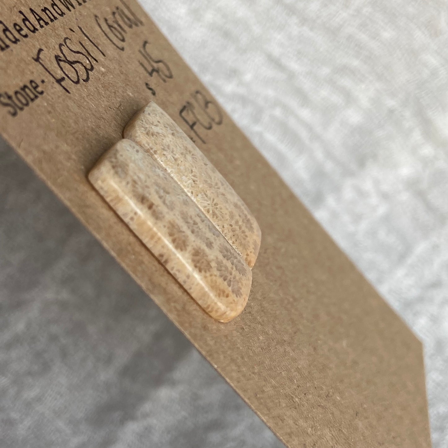 Fossil Coral Cabochon - FC13