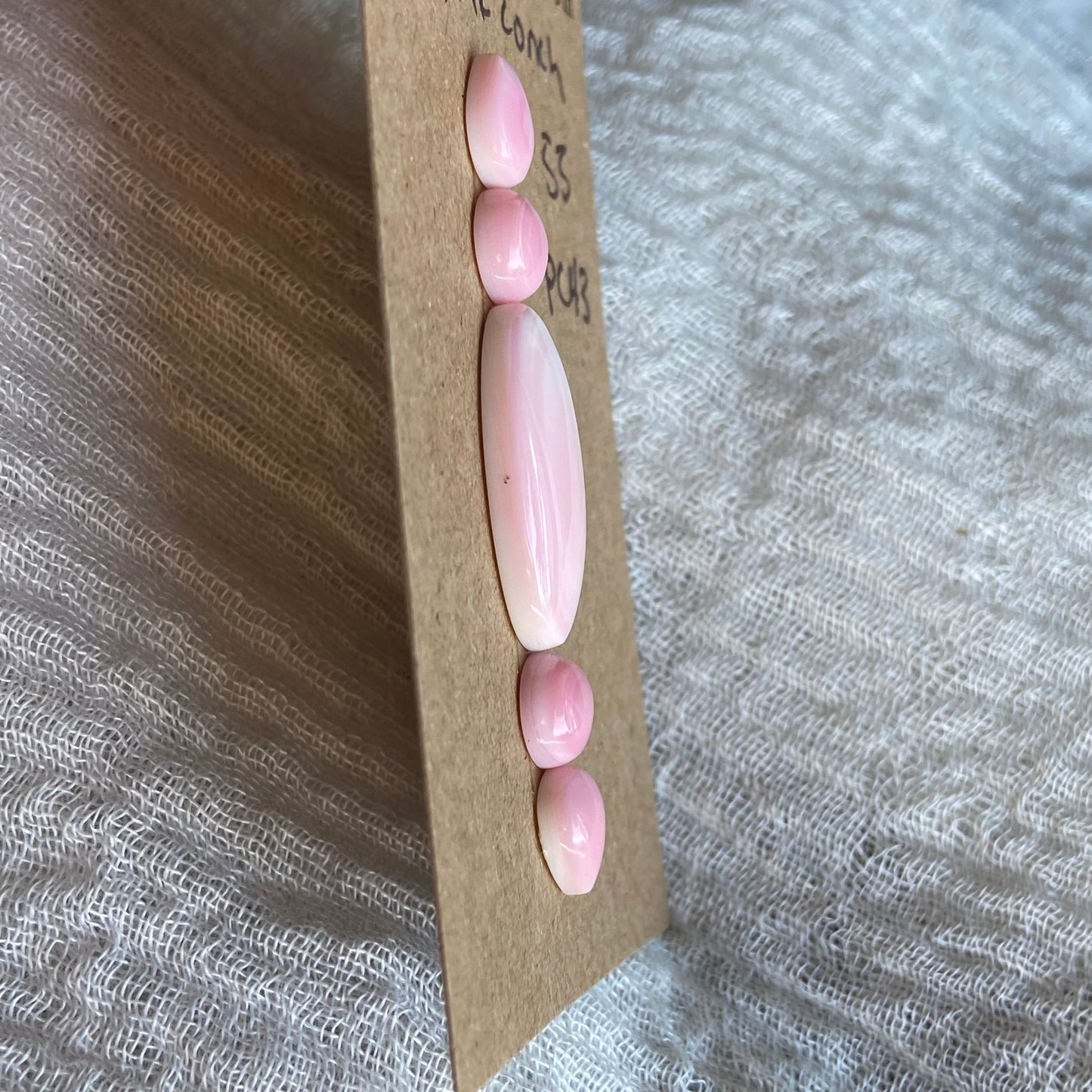 Pink Conch Cabochon - PC43