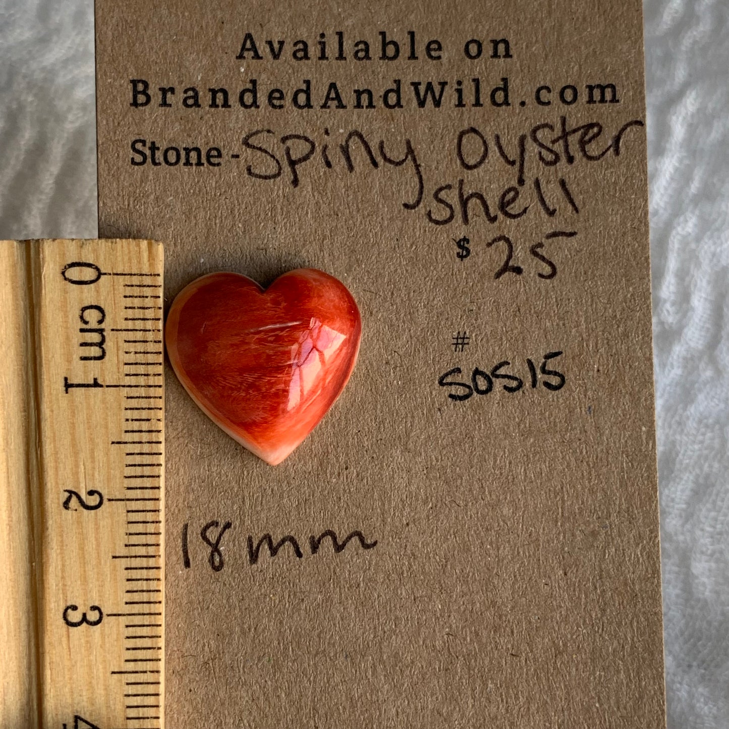 Spiny Oyster Shell Cabochon - SOS15