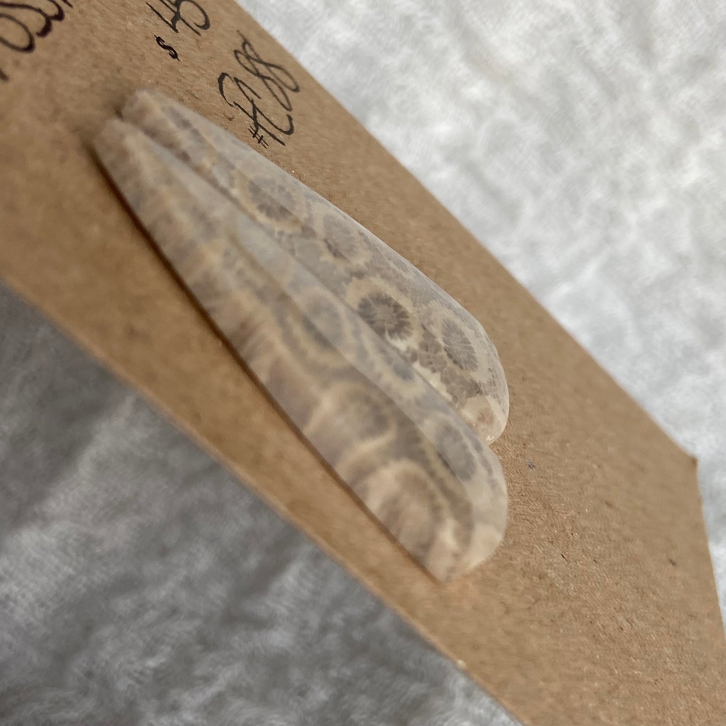 Fossil Coral Cabochon - FC88