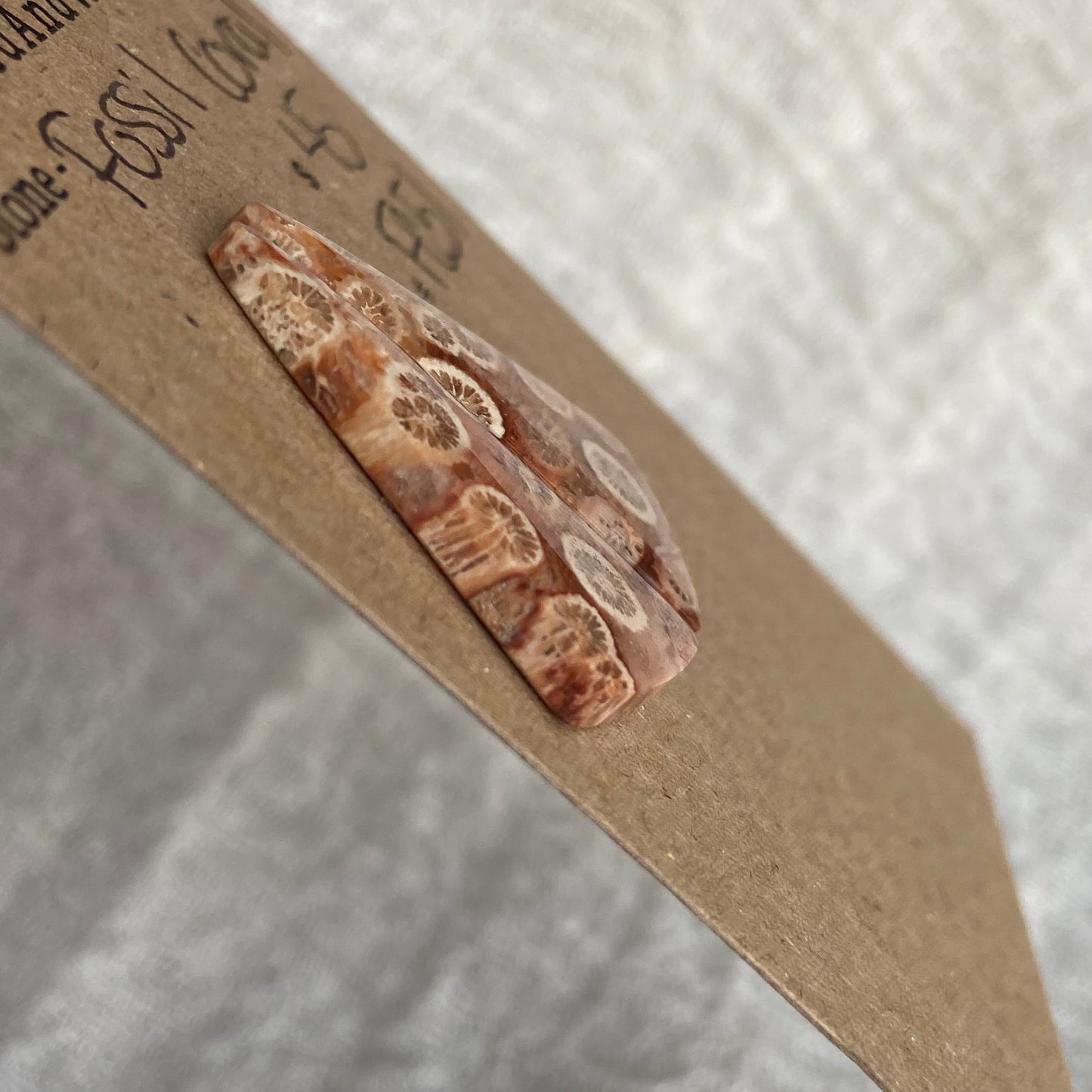 Fossil Coral Cabochon - FC51