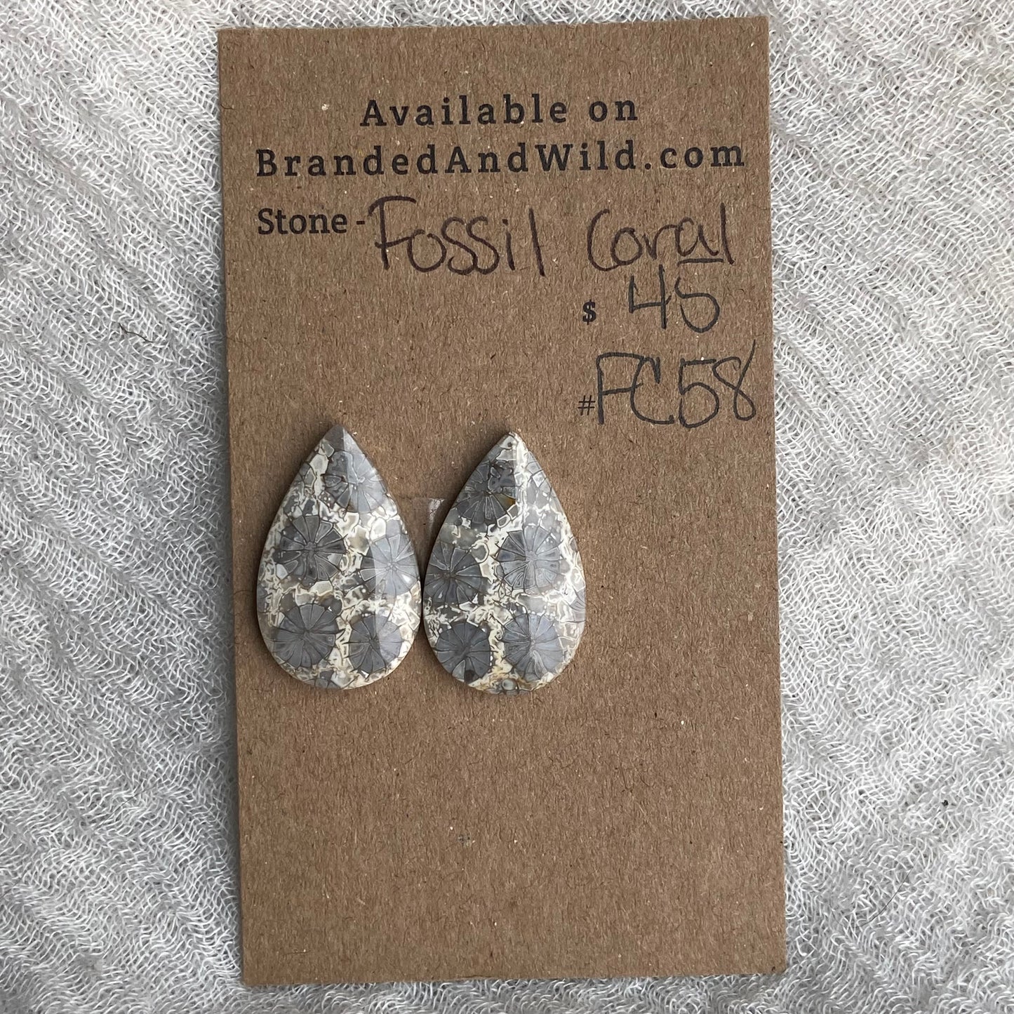 Fossil Coral Cabochon - FC58