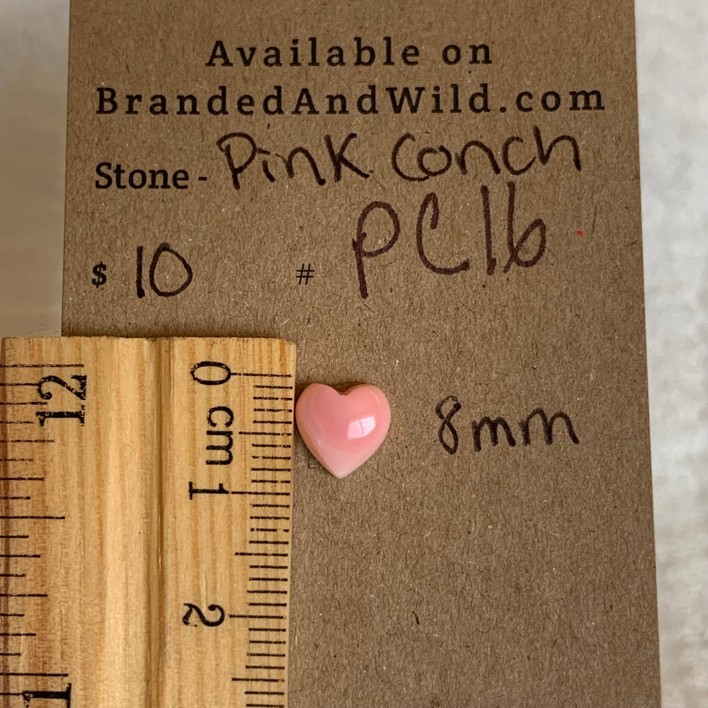 Pink Conch Cabochon - PC16