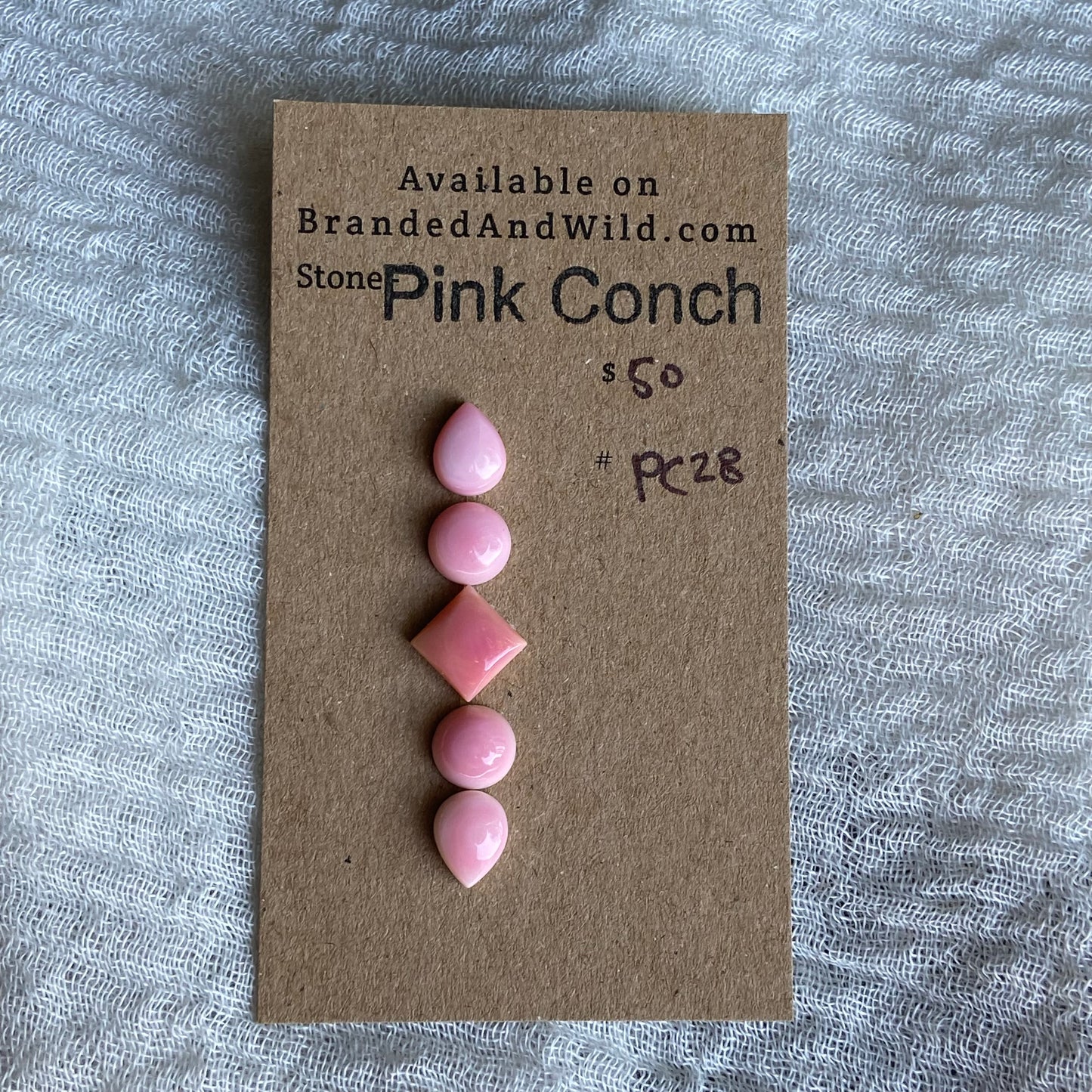 Pink Conch Cabochon - PC28