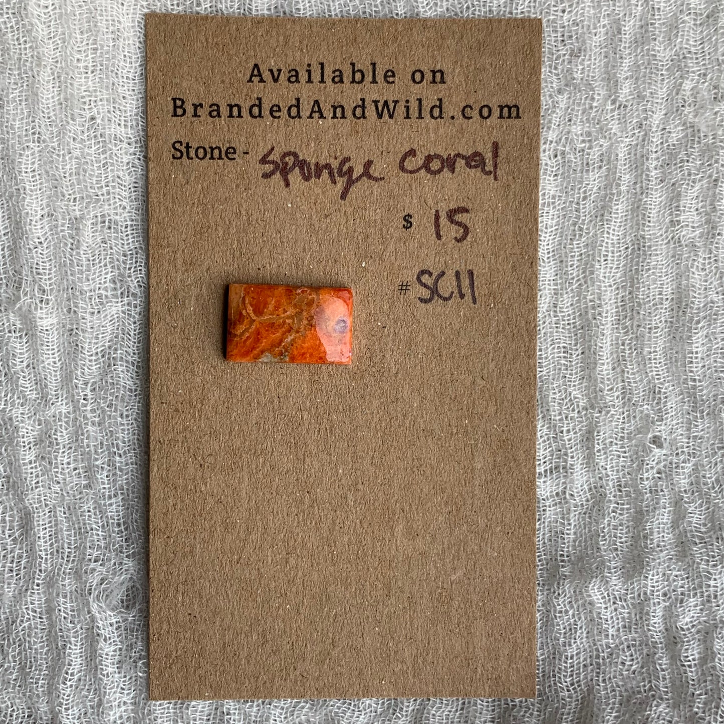 Sponge Coral Cabochon - SC11