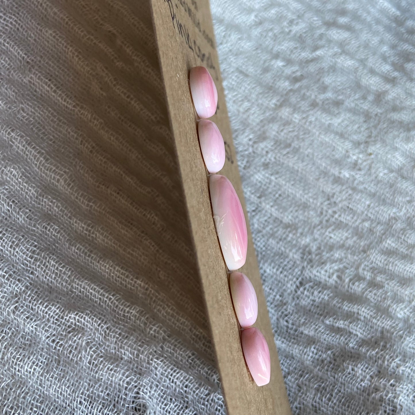 Pink Conch Cabochon - PC52