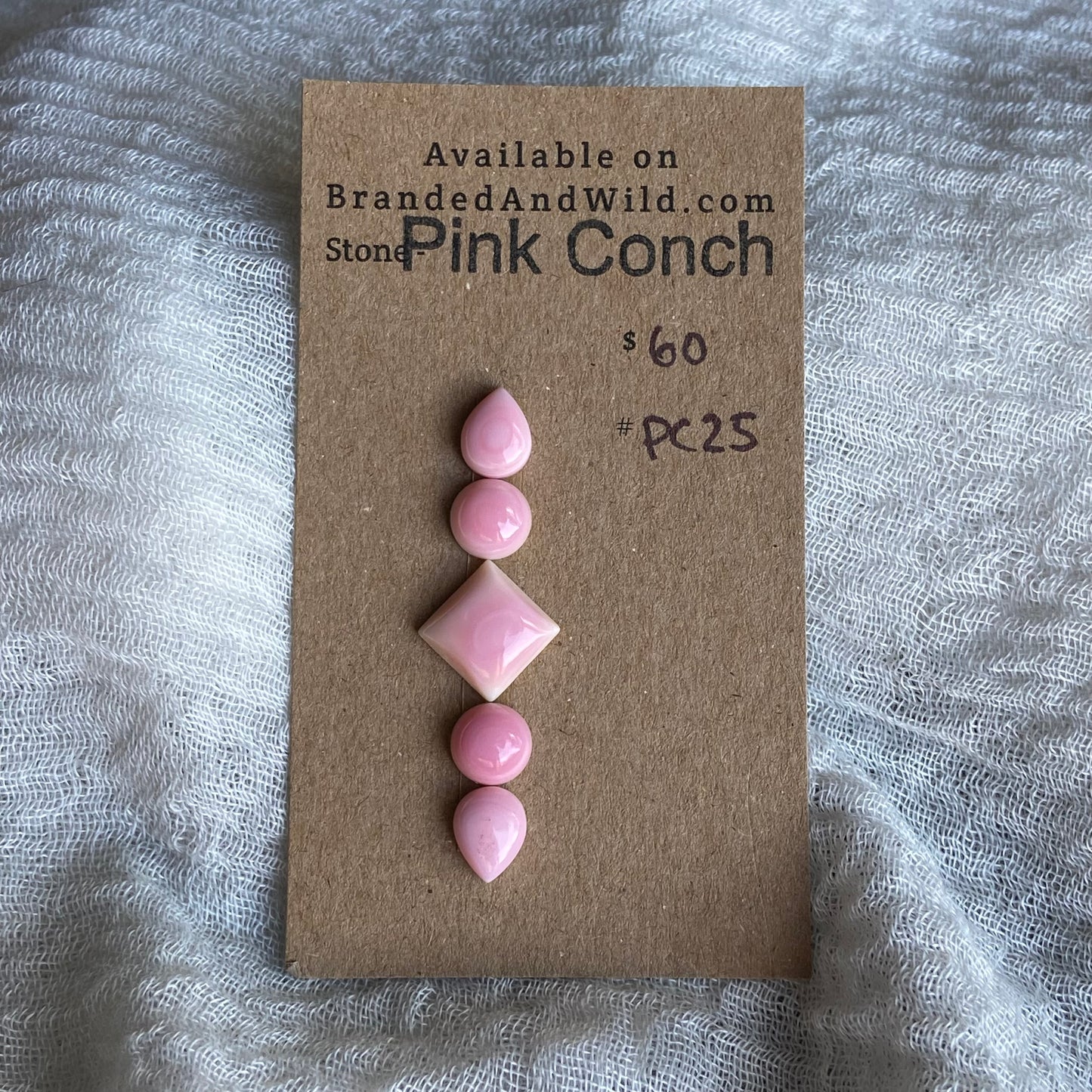 Pink Conch Cabochon - PC25