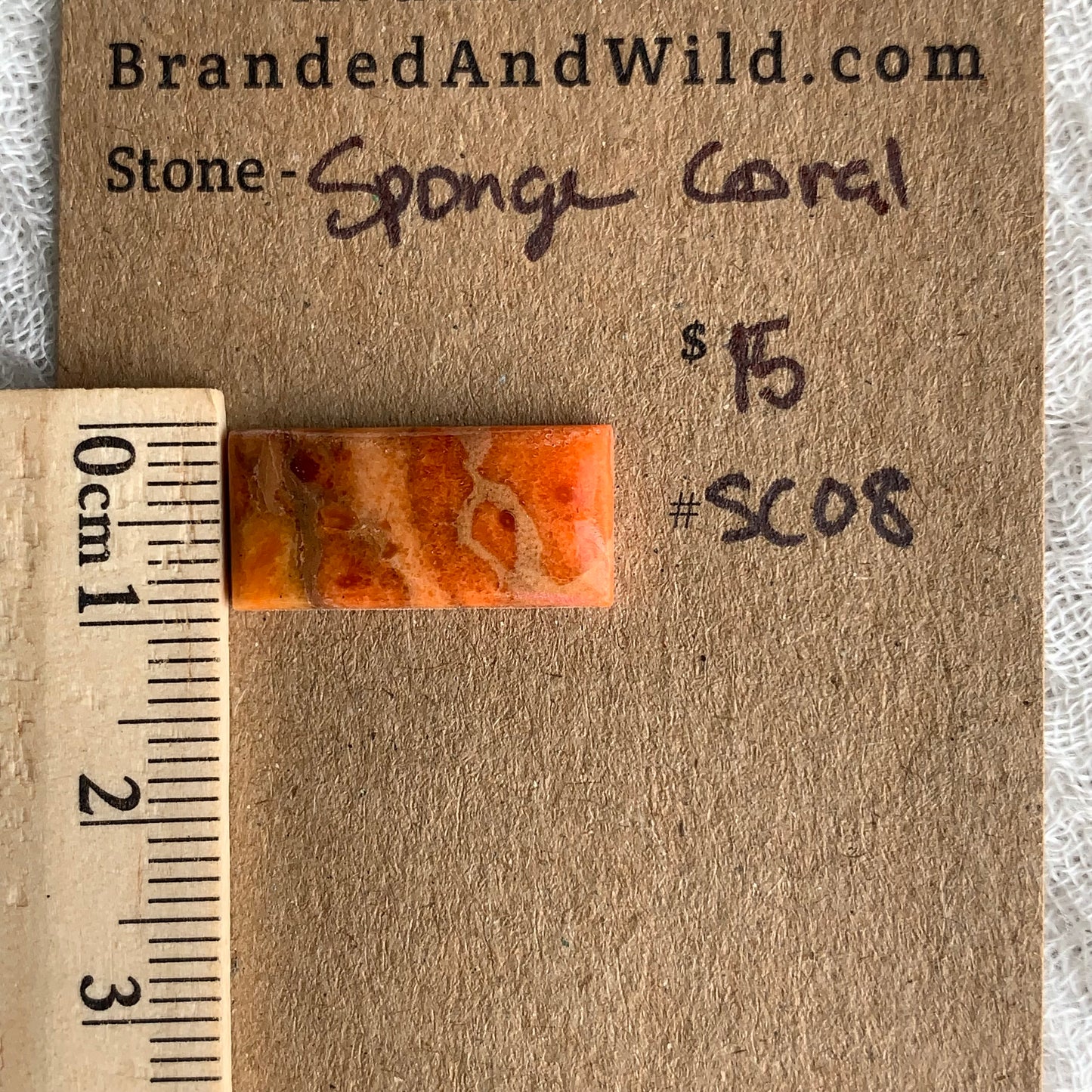 Sponge Coral Cabochon - SC08