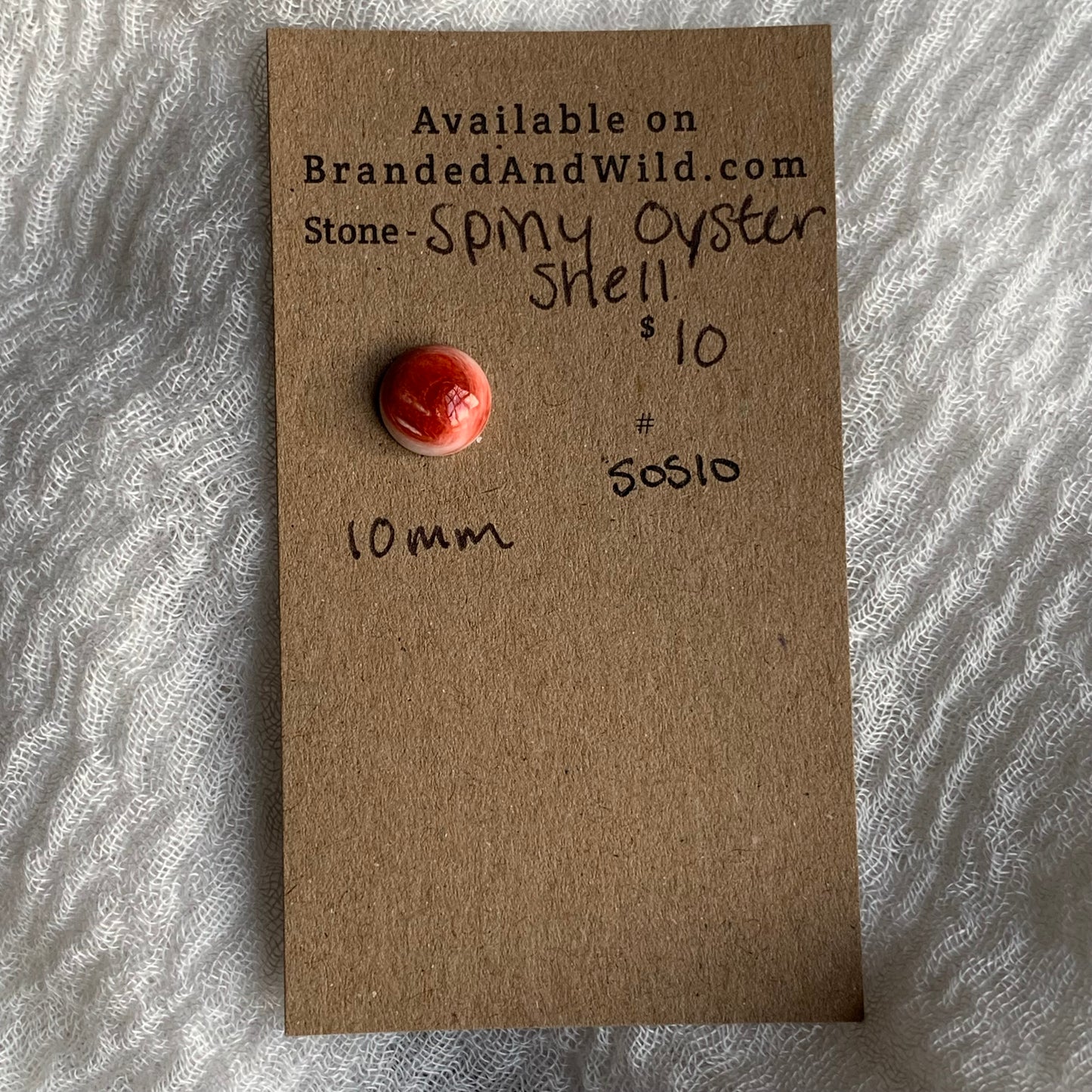 Spiny Oyster Shell Cabochon - SOS10
