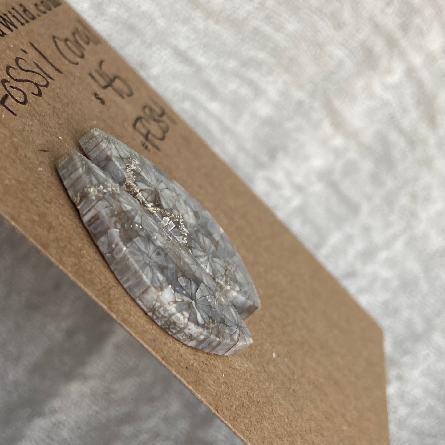 Fossil Coral Cabochon - FC84