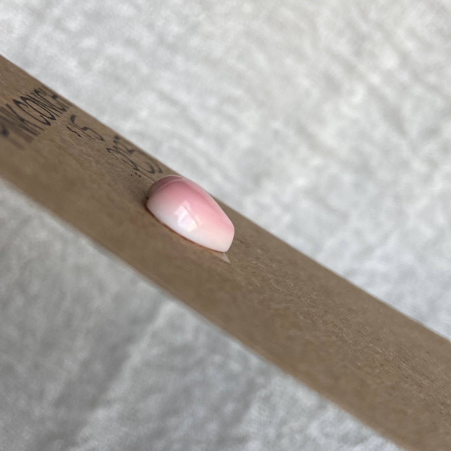 Pink Conch Cabochon - PC37