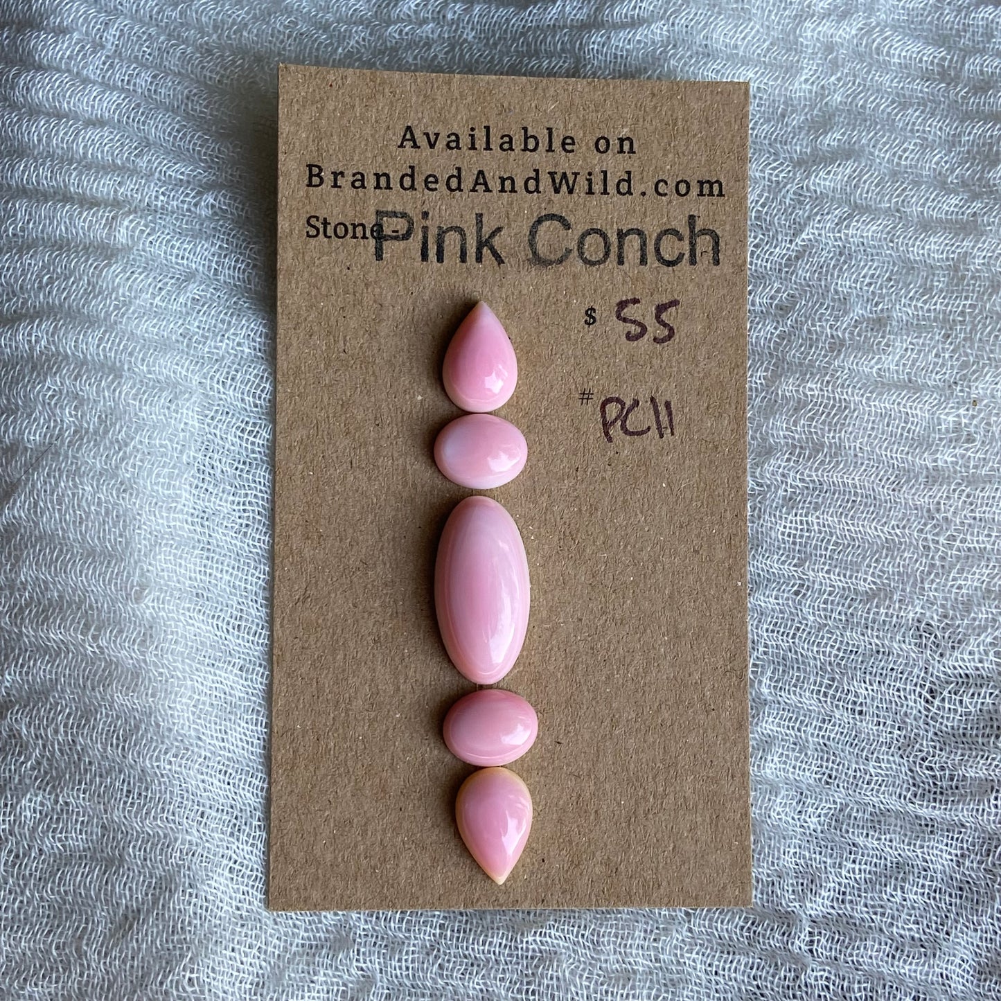 Pink Conch Cabochon - PC11