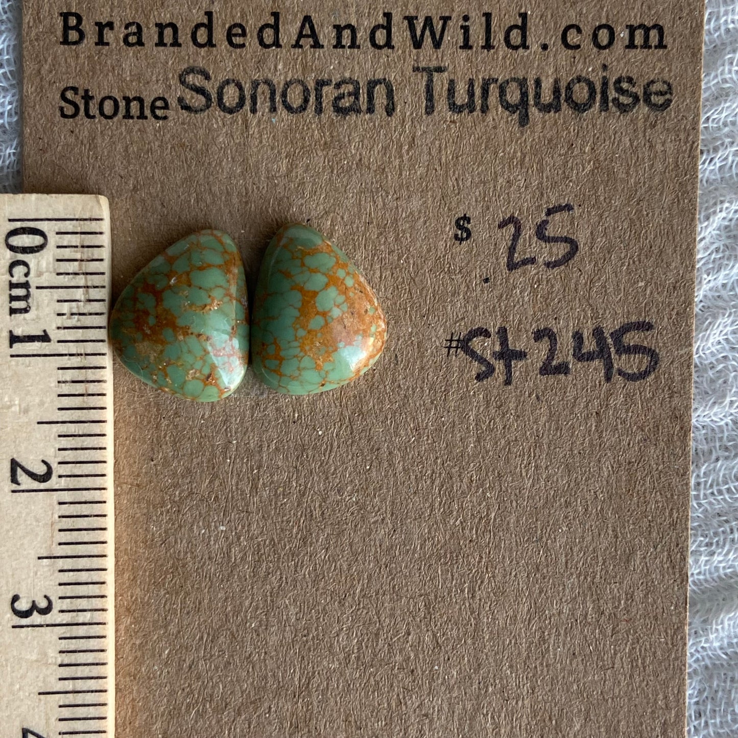 Sonoran Turquoise Cabochon - ST245