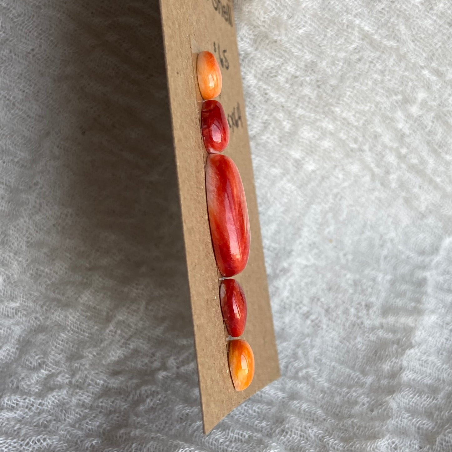 Oystershell Cabochon - MIX64
