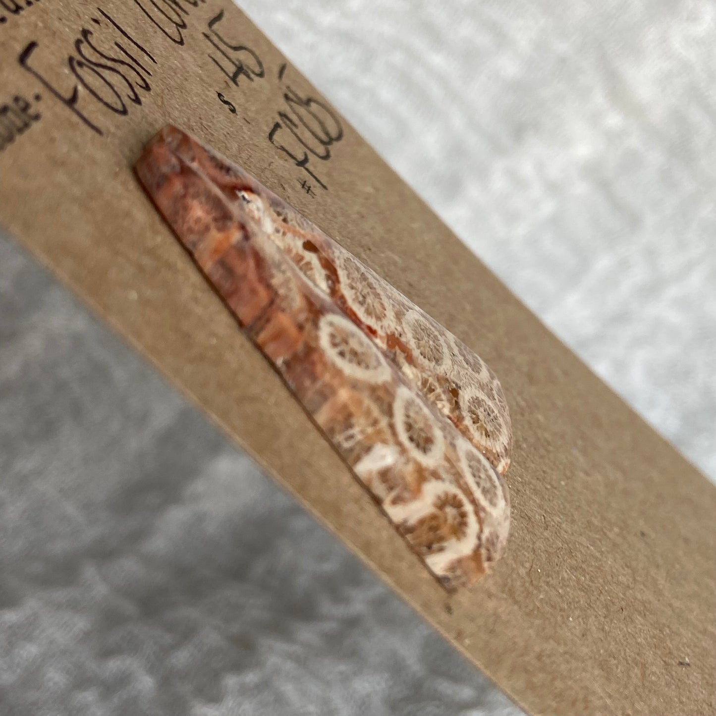 Fossil Coral Cabochon - FC05